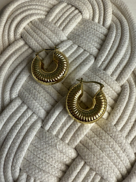 Hoop Things Earrings